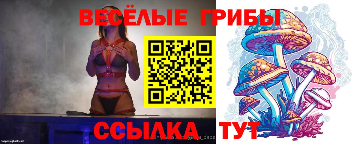 Псилоцибиновые грибы прущие грибы Кумертау