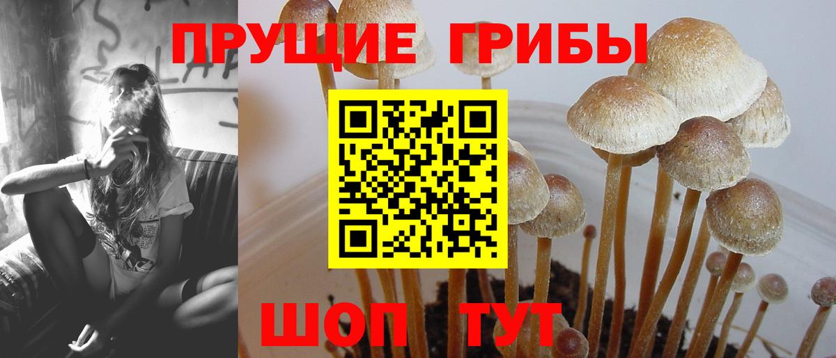 Галлюциногенные грибы Psilocybe  Галлюциногенные грибы Psilocybe  Вход с VPN  Кумертау 